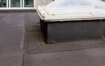disadvantages of Cwm Celyn flat roofs