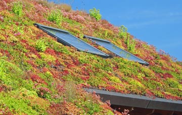 Cwm Celyn living roof systems