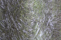 Cwm Celyn fibreglass roof work